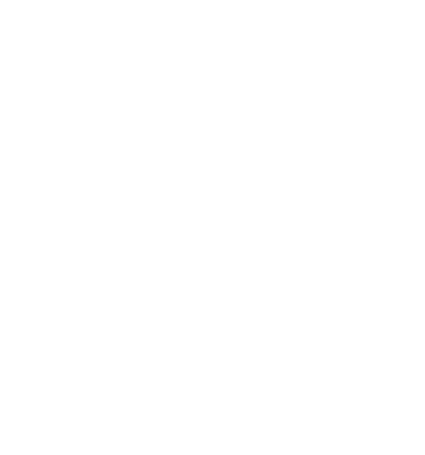 SSW_Logo_Symbol Only-White