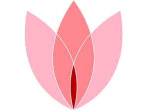 Becoming a Woman Facilitation Training ~ Full Payment (for mermaids)